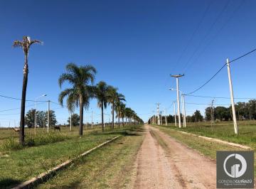 Terreno · 650m² · Terreno en Tierra de Sueños Casilda