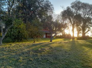 Campo de 1 ambiente, San Andrés de Giles · Chacra 7 Ha Inmejorable a 90 Km Caba