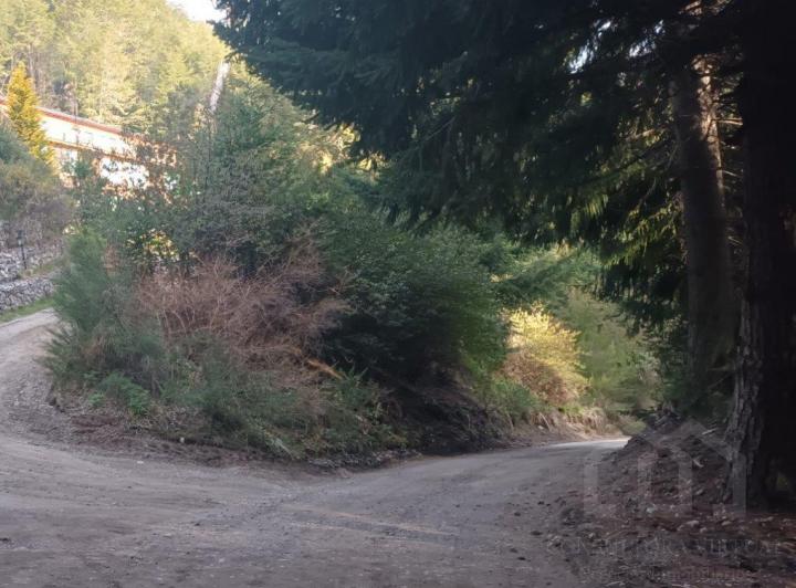 Terreno · 3558m²