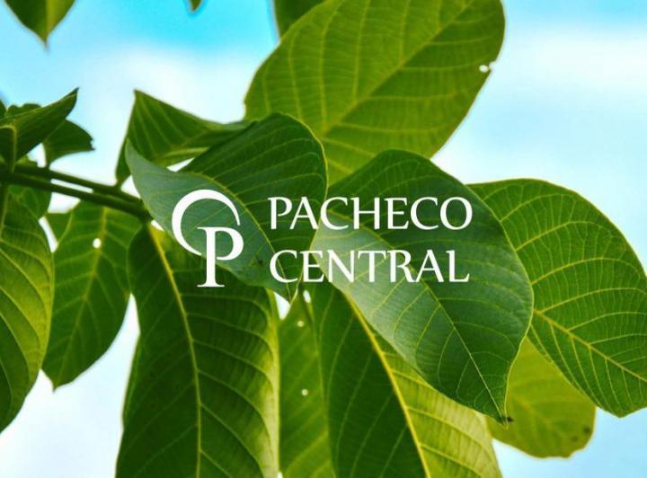Desarrollo vertical · Pacheco Central