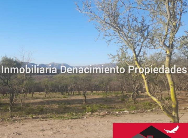 Terreno · 1000m²