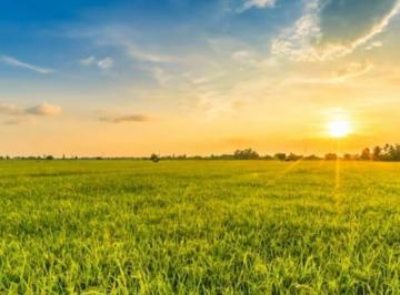 Terreno en Venta  Villa Catalina · Hermoso Lote en Campo Verde