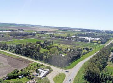 Campo · 180000m² · Mar del Plata - 18 Ha Agricola