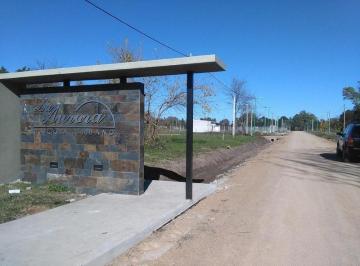 Terreno · 175m² · La Aurora - 7 E/ 602 y 603 - Villa Elvira - Lote - Venta
