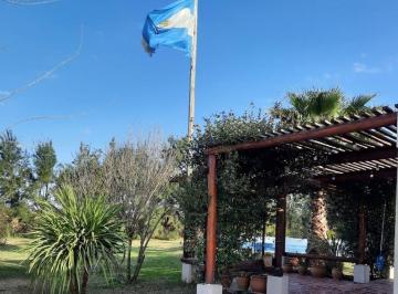 Campo · 150m² · 1 Ambiente · Salto Grande, Casa Quinta, Campo de 11 Ha, 9 Productivas.