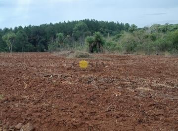 Campo · 564304m² · Chacra de 56 Ha (90% Suelo 9), Gobernador Roca, Misiones. Venta