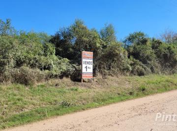 Terreno · 10000m² · Terreno por Antelo, a 600 m de Calle de Ingreso a Playas y Termas. San Jose. Entre Rios.