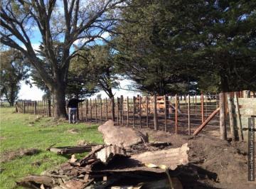 Campo , Balcarce · Campo de 100 Ha