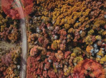 Terreno · 2500m² · Lote Apto Proyecto Turístico Sobre Callejón Gingins