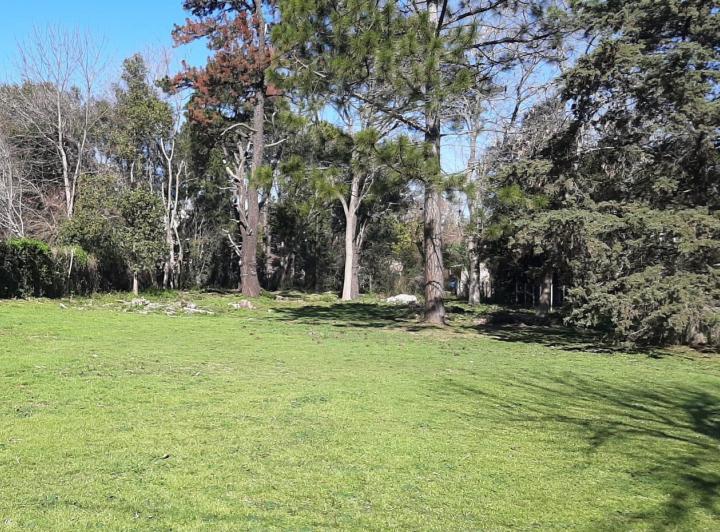 Terreno · 1300m²
