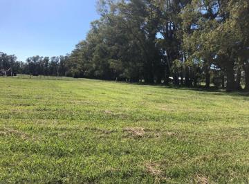 Terreno · 3197m² · Lote a La Venta en Chacras de San Andres