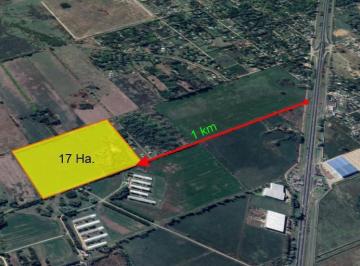 Terreno · 696m² · 4 Ambientes · Fracción de Campo 17 Has - Casa Ppcial y de Caseros - Gral Rodriguez
