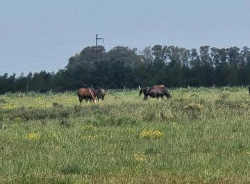 Campo · 13m² · Campo en Ignacio Correas con 13 m² Totales en Venta