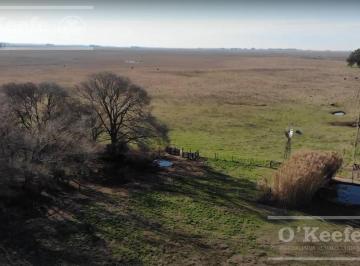 Campo · 8000000m² · Campo Ganadero 800 Ha en Venta en Saladillo, La Campana