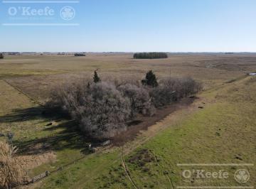 Campo · 8000000ha · Campo Ganadero 800 Ha en Venta en Saladillo, La Campana