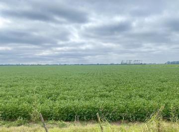 Campo · 500000m² · Campo - San Nicolas de Los Arroyos