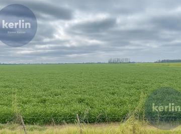 Campo · 1640000ha · Campo Zona Norte - 164 Ha Agricolas - San Nicolas de Los Arroyos