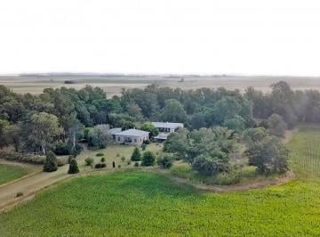 Campo · 1520000m² · Balcarce - 152 Ha