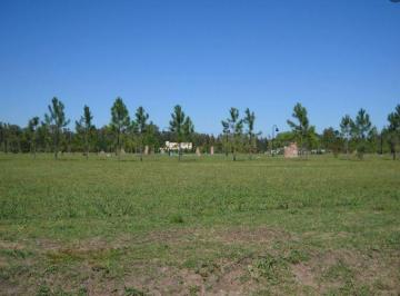 Terreno · 1000m² · Oportunidad! Lote en Venta en El Cardal 2