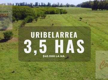 Terreno · 35547m² · Terreno en Fracción de Campo en Uribelarrea