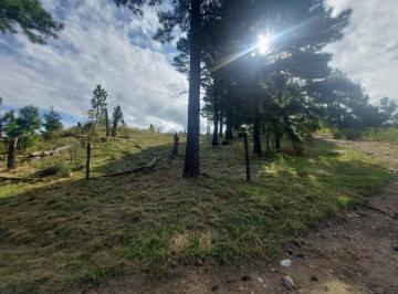 arboleda al este · Excelente Oportunidad! Terreno de 11.082 m² C/agua. Escrituración Inmediata!