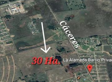 Campo · 300000m² · Campo en Calle Cáceres Altura Ruta 58 Km 9.5