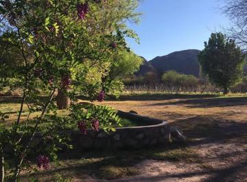 Campo · 300000m² · 1 Ambiente · Venta de Finca y Bodega en Catamarca