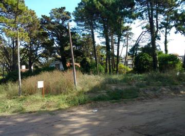FLM-FLM-276_2 · Lote. | de La Merluza