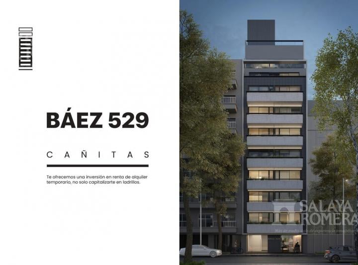 Desarrollo vertical · Baez 529