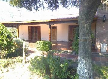 Foto · Venta de Campo Productivo en Colonia Caroya