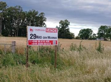 Campo · 290000m² · 1 Ambiente · Campo 28,9 Has Colonia Carmelo Uruguay