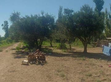 Terreno de 4 ambientes, Tres de Mayo · Finca Productiva de 13.5 Ha en Tres de Mayo