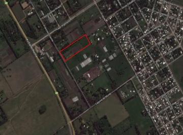 Campo · 3m² · Terreno Campo en Venta Ubicado en Pilar, G. B. a. Zona Norte