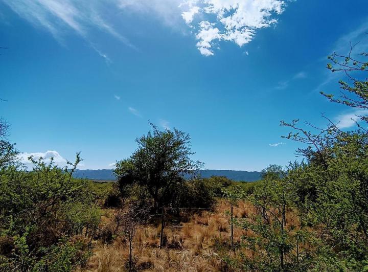 Terreno · 717m²