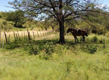 Terreno , Ascochinga · Lote a La Venta en Ascochinga – Camino a Estancia Jesuitica Santa Catalina