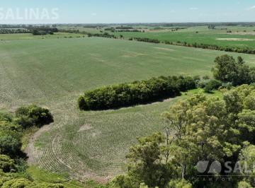 Campo · 440000m² · Campo Agrícola con Mejoras y Arboleda