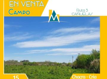 Campo · 155000m² · 1 Ambiente · Valor Rebajado - Casa a Refaccionar