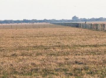 Campo · 1000 Ha Ganaderas Sobre Autopista 14. Ceibas, Entre Ríos