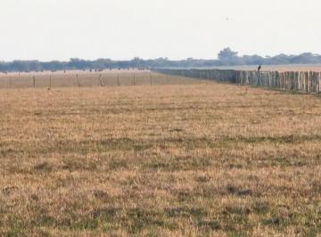 Campo · 1000 Has Ganaderas Sobre Autopista 14. Ceibas, Entre Ríos