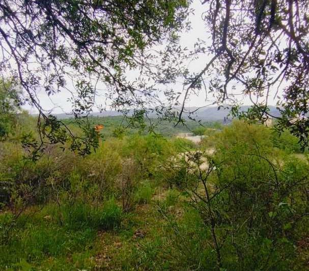 Terreno · 1000m²