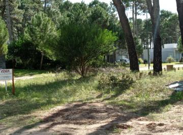 FLM-FLM-285_2 · Propiedad Suspendida Lote. | Av de Los Alamos