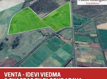 Campo · 100m² · Terreno - Viedma