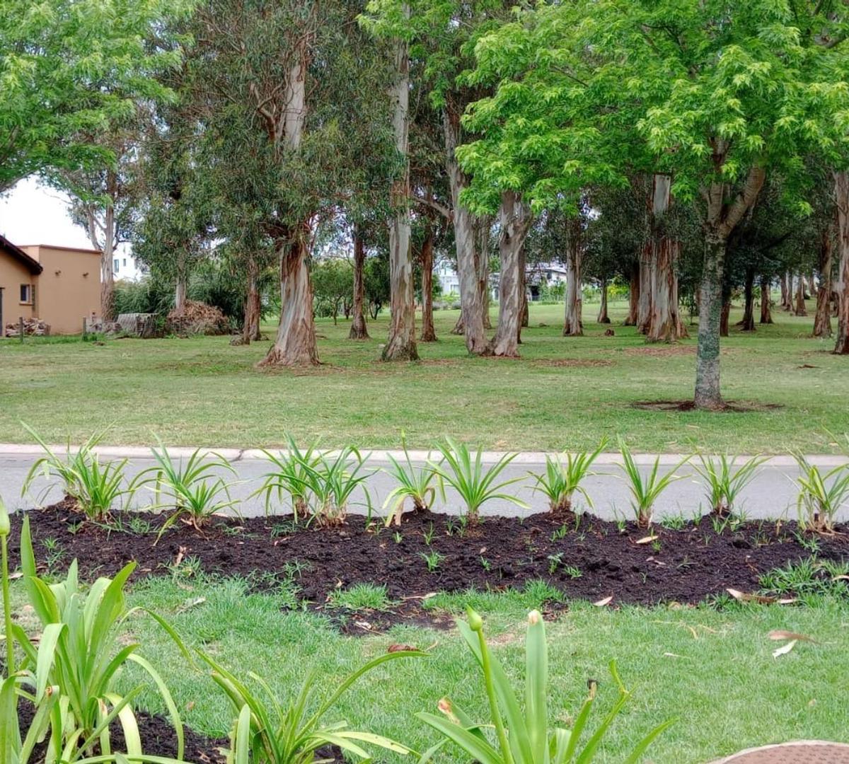 Lote de terreno 975m² en barrio privado Arenas del Sur