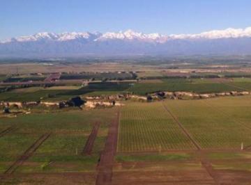 Campo · 482700m² · Finca en Venta en Jocolí, Lavalle - Mendoza - Oportunidad Rural 48 Hs
