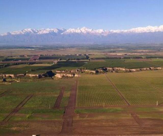 Campo · 482700m²