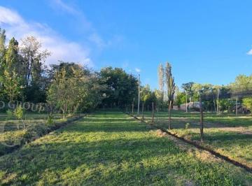 Terreno , San Rafael · Gold Group Argentina Vende Gran Terreno (Servidumbre de Paso y Pío Ara) Villa 25 de Mayo