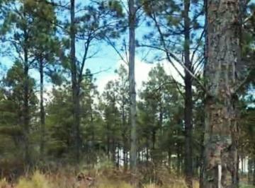 Terreno , Intiyaco · Venta de Lote en Las Cañitas - Tlc0766
