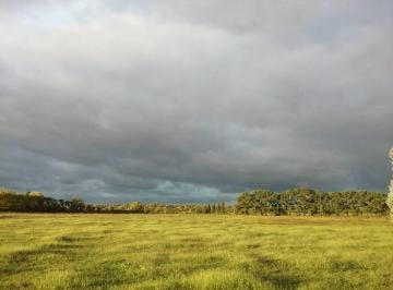 Terreno de 9 ambientes, General Rodríguez · Campo en Venta - 10 Hectáreas