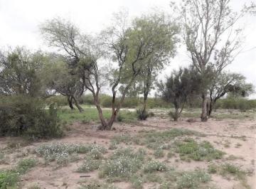 Campo , San Martín · Campo en Venta, Tres Porteñas, San Martin