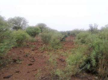 Campo , San Martín · Campo en Venta, Tres Porteñas, San Martin